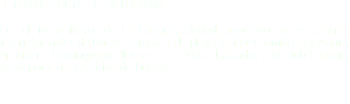  LITORAL NORTE DE LA HABANA Por el litoral Norte de La Habana, ciudad, asociados a los centros internacionales de Buceo Tarará, en la playa de igual nombre; La Aguja, en Marina Hemingway; Blue reef, en Villa El Salado; y el Club Habana, se dispone de 72 sitios de buceo.